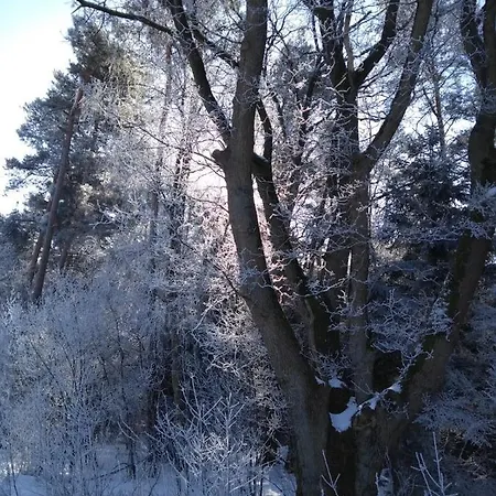 بيت للعطل Haus Am *