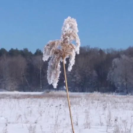 بيت للعطل Haus Am *