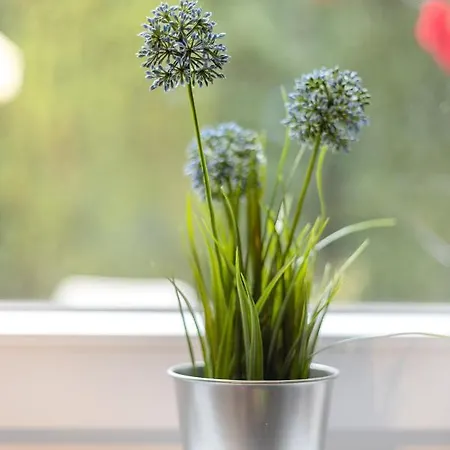 Haus Am هيرمانسبرغ