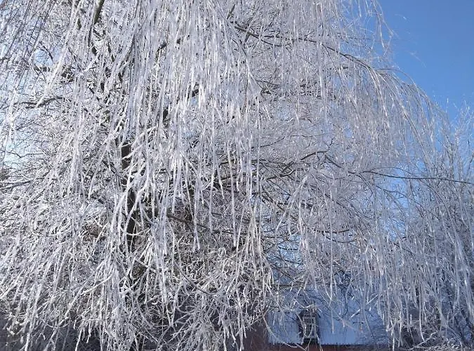 Haus Am Hermannsburg