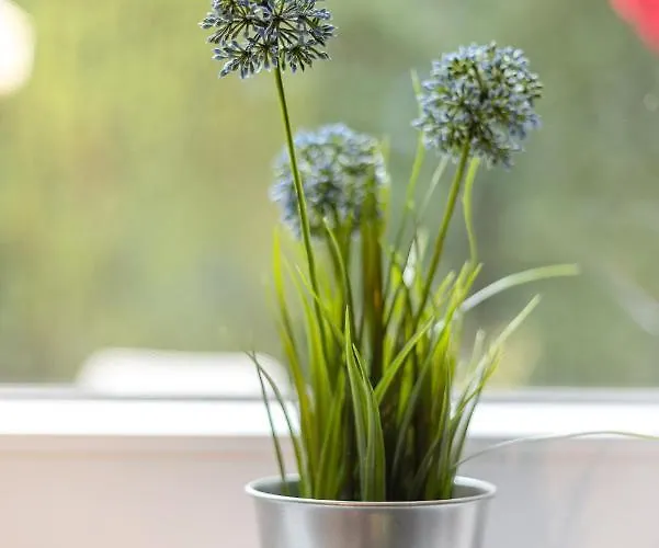 Haus Am Hermannsburg