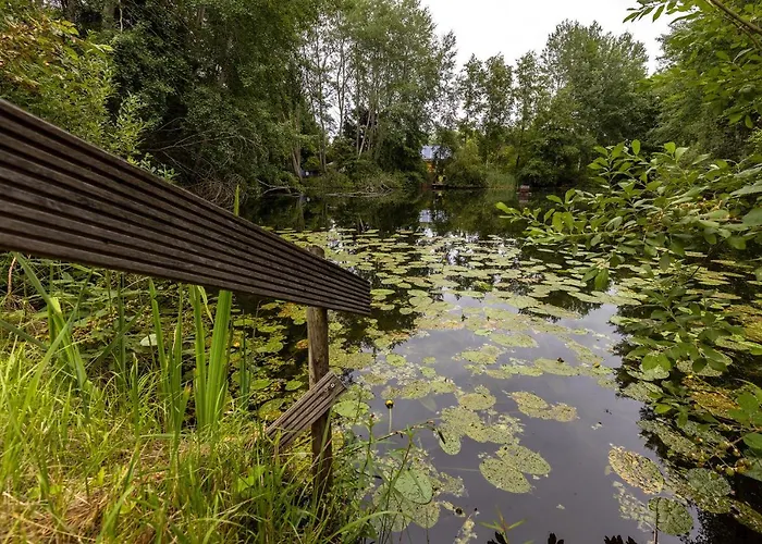 Haus Am Hermannsburg